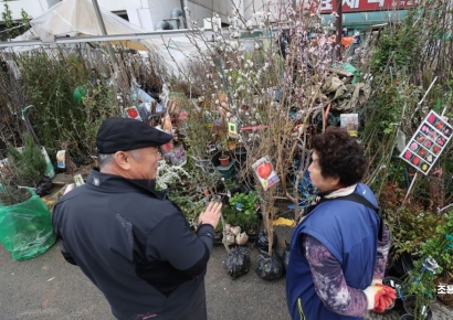 [포토] 식목일, 묘목 고르는 시민