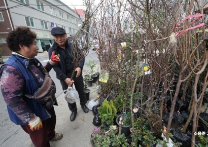 [포토] '엄지 척' 이 나무 최고에요