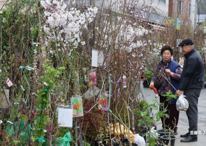[포토]  식목일, 묘목 고르는 시민