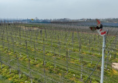 [르포]"방상팬 덕에 9년간 사과 냉해 없었어요"