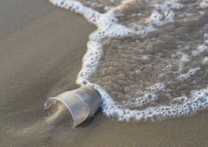 깊은 해저는 플라스틱 쓰레기투성이…"최대 1천t 쌓여"