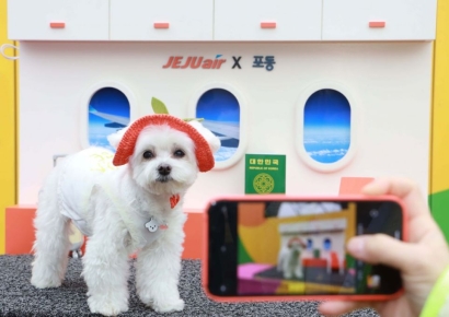 LG유플러스 '포동', 반려견 동반 항공상품 '완판'