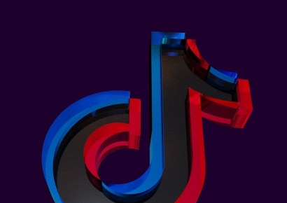 '틱톡 퇴출' 외치면서 틱톡하는 美정치인들…"젊은층 포기 못해"