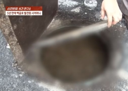 가출했다던 시어머니, 5년 후 정화조서 백골시신으로…범인은 누구였나