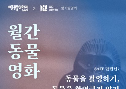‘동물 촬영’ 주제로 ‘월간 동물영화’ 상영회 개최