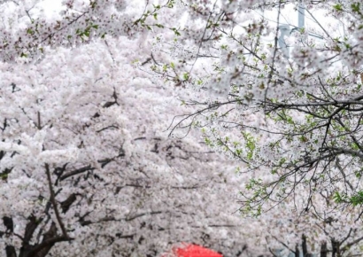 [포토] '한 낮 기온 23도' 초여름 날씨 나타낸 서울