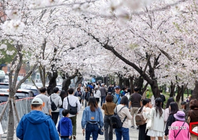 "공짜로 여행 다녀왔다던 친구"…알고 보니 '100% 할인' 있었다[혜택의 정석]