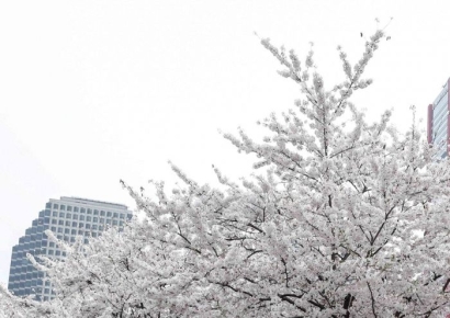 [내일날씨]서울 아침 기온 2도…전국 대체로 '맑음'