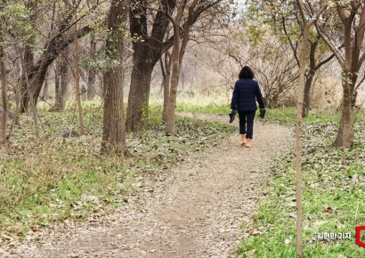 머리 좋아지고 싶다면 5분에 500보라도 걸으세요
