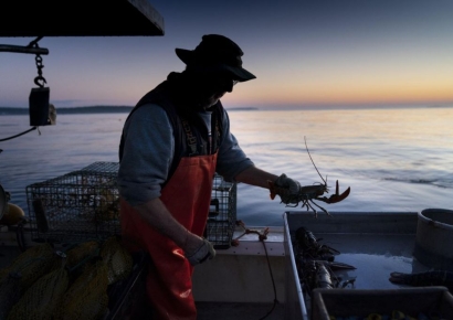 中리창, 6월 호주간다…3년 끊긴 '랍스터 수입' 재개하나