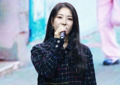 '인신공격에 고통' 보아, 대규모 악플러 고소 예고…"선처·합의 없다"