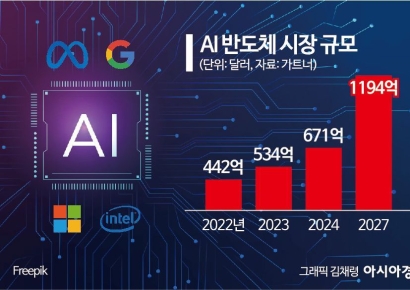 성능 넘어 효율성 경쟁...빅테크 '칩 독립선언'[AI 한입뉴스]