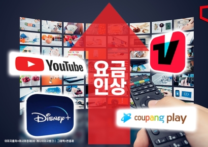 "다음 결제일까지 보세요"…OTT 중도해지 환불 안알려 