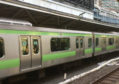 퇴근길 일본인들, 지하철에 숨어있던 뱀에 기겁