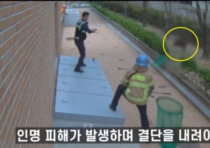 흥분한 멧돼지 초등학교 덮쳐…긴박한 상황 공개