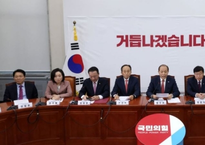 與, '대통령 거부권 제한 개헌 野주장에 "헌법 부정하는 발상"(종합)