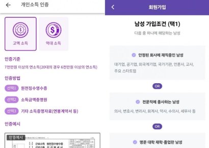 '원천징수 첨부'하고 연봉 2억 증명…평범하면 광속탈락, 결혼·데이트앱