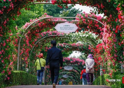 [포토] 장미 가득한 중랑천 산책로