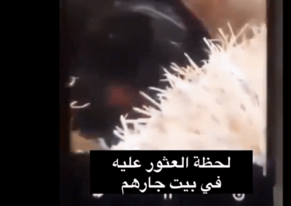 17살에 납치됐다 44살에 발견된 남성…27년간 이웃집 지하서 살았다