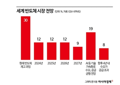 [피스앤칩스]글로벌 반도체 기업 임원들 "2027년까지 재고 없다"