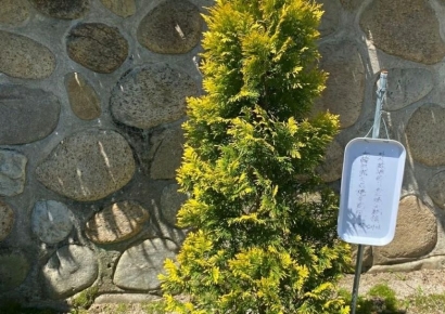 5·18 앞두고…전두환 생가에 설치된 "영웅적인 대통령 존경합시다" 팻말