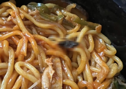 배달음식 속 바퀴벌레 항의하자…사장 "이럴 필요 있냐"