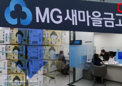 새마을금고 대출 1년 새 16조 급감 "기업대출 거의 막혀"