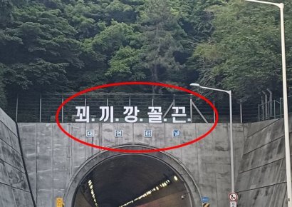 "저거 읽다가 사고나겠다"…부산 터널입구 정체불명 5글자 논란