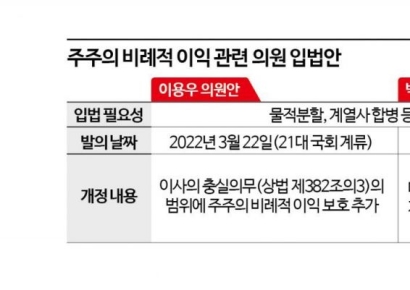 [탄력받는 상법개정]②소송 빗발 우려에…면책 사유 기준 완화 가능성도