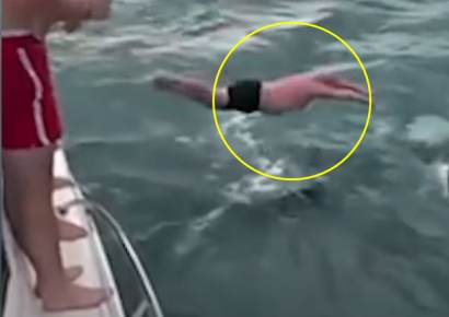 헤엄치는 범고래 향해 '풍덩'…뉴질랜드 남성 벌금맞은 사연