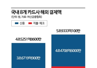 카드사, 여행족 공략에 해외결제액 늘지만…수익성은 '글쎄'