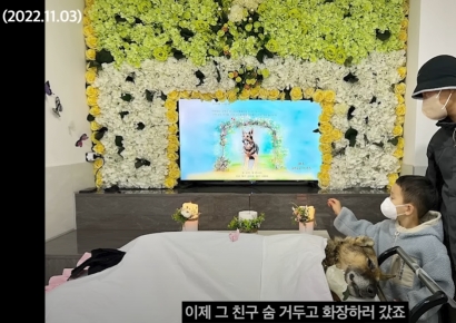 "반려견 출장안락사 안 되는데"…강형욱 해명에 수의사들 '갸우뚱'