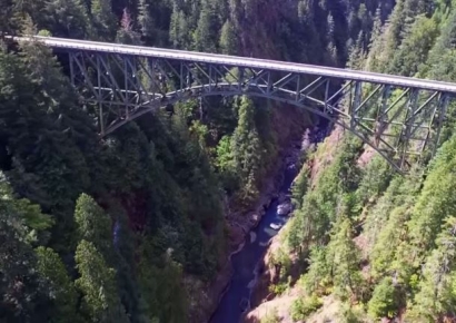 37층 높이 다리에서 추락한 美 10대…팔만 긁힌 채 '멀쩡'