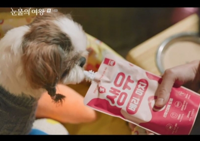 푸드·농수산·뷰티, K-드라마 열풍 타고 해외 시장 진출