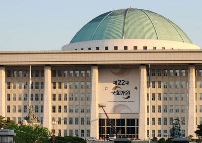 "마음껏 베껴주세요"…21대 국회 마지막 발의된 법안들