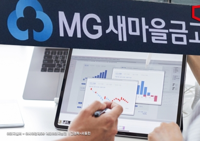 새마을금고, 리스크관리시스템 고도화 완료