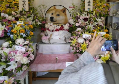 세상 떠난 도지코인 시바견…주인과의 만남 주목 [일본人사이드] 