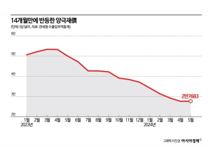 14개월만에 반등한 양극재價…수익성 개선 시그널될까