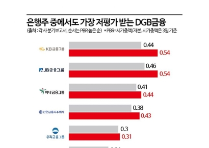 대구은행 시중銀 전환 후 ‘밸류업’ 박차 가하는 DGB금융