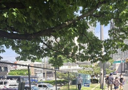 [르포]美 뉴저지 프라이머리…앤디 김, 한국계 첫 상원의원에 성큼