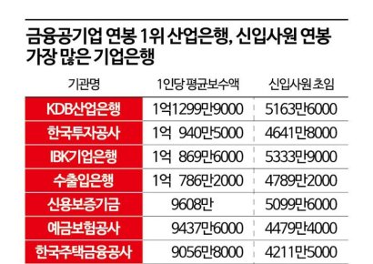 '꿈의 직장' 금융공기업 연봉 1위는…1억1300만원 받는 '산업은행'