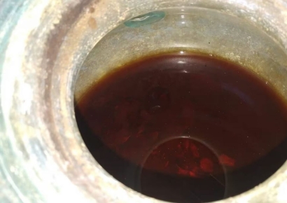 유골 항아리에 붉은 액체…'2000년 넘은 로마 와인' 스페인서 발견