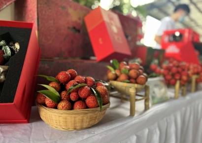 [베이징 다이어리] 月400만원 벌던 청년이 농촌으로 간 까닭