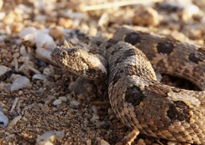 벌써 15명 죽었다…보건소·병원 '북새통' 방글라데시, 무슨 일?