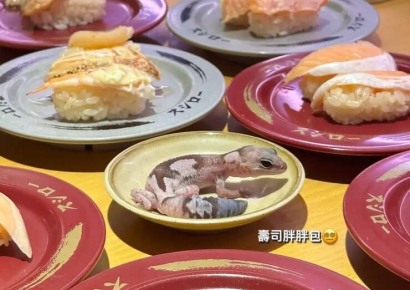 초밥 접시에 애완도마뱀 올리고 '찰칵'…"정신나갔다" 뭇매