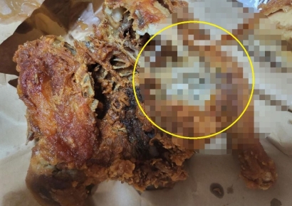 냄새 진동 통닭에 구더기 '우글우글'…"썩은 걸 튀겨서 줬어요" 공분