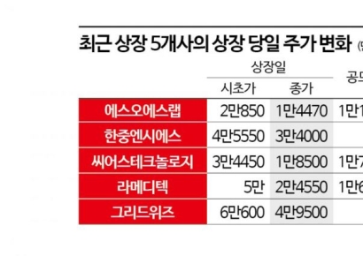 낮아진 IPO 기대치…대어 상장 적색등 켜지나
