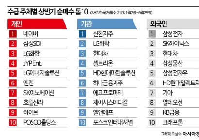 ‘상반기 성적표’ 개인 나홀로 마이너스…이차전지·엔터 부진 발목