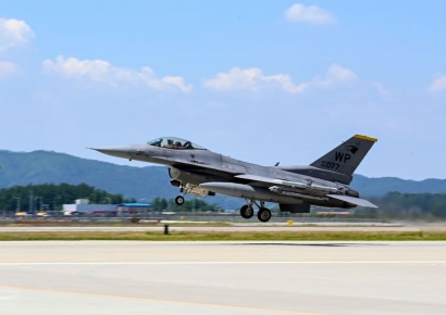 세계 최강 F-22 랩터… 한반도서 연합훈련[양낙규의 Defence photo]