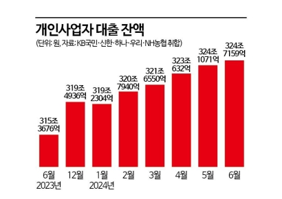 늘어나는 자영업자 대출…5대 은행, 올해만 5조 증가